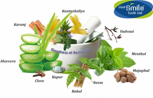 OSMF Smile Toothpaste Herbal Goodness Of Ayurveda