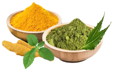 Power of Turmeric Tulsi & Yashtimadhu OSMF Oral Gel Tr