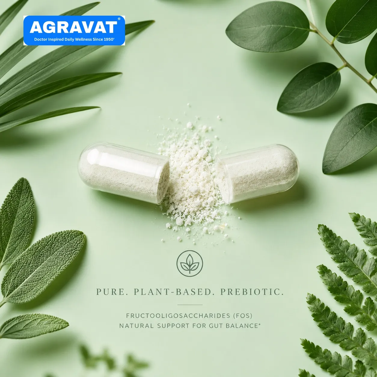 2 Prebiotic Purity (FOS) Probiotic Gut Health
