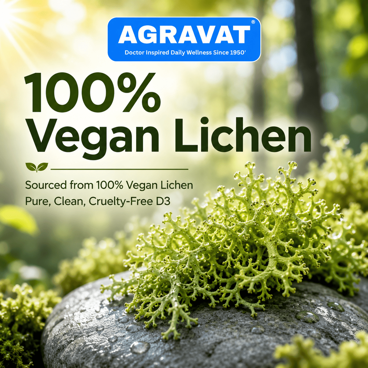 3 Ingredient Spotlight (100 Vegan Lichen) 9 Doctor Inspired Wellness Since 1950 AGRAVAT® Plant-Based Vitamin D3 (Veg Lichen) & K2 (MK7) Supplement | 60 Veg Tablets