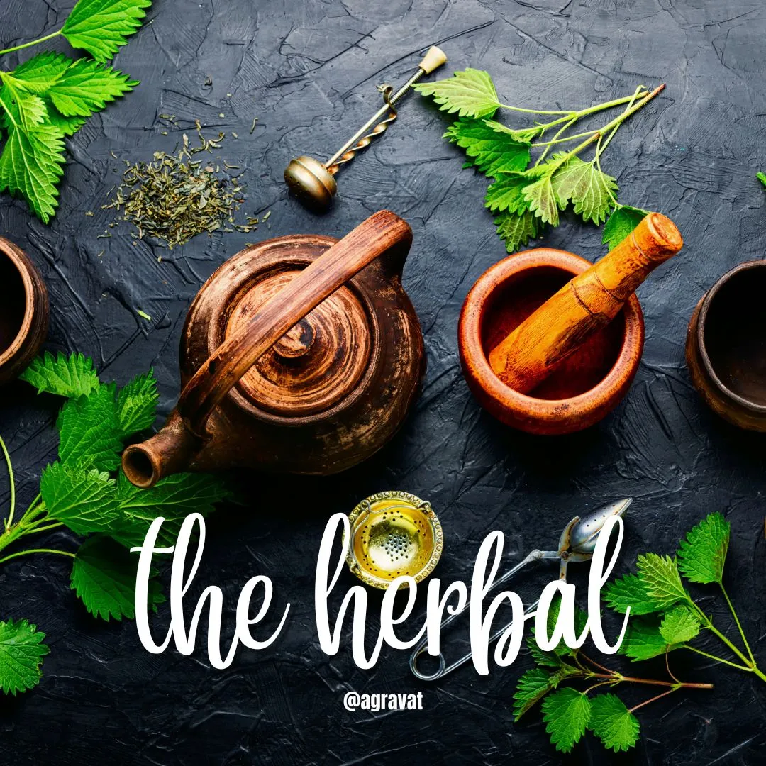 Ayurveda Herbal Medicine