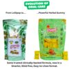 OSMF Pops® Herbal Oral Wellness Gummies Ahmedabad, Gujarat, India